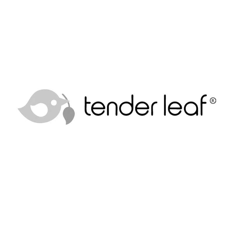 Tender Leaf Toys® Leseni set za izlet v gozd Forest Trail Set Tender Leaf Toys