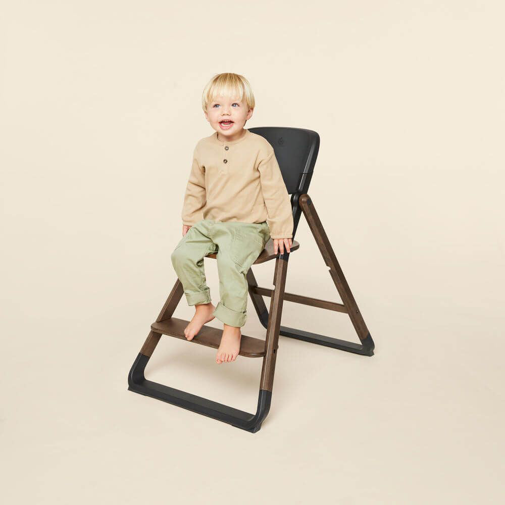 Ergobaby® Evolve Stolček za hranjenje 3v1 Dark Wood Ergobaby