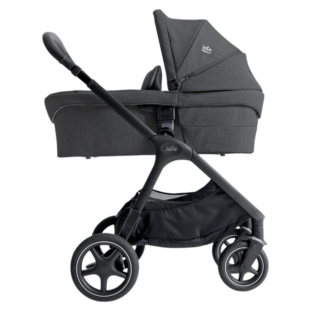 Joie® Košara za novorojenčka Ramble™ XL Signature Ebony Joie