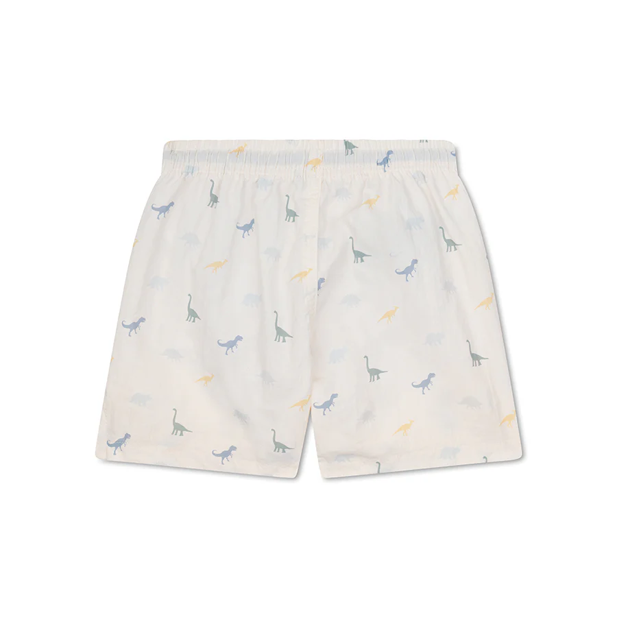 Swim Essentials® Otroške kopalke Shorts Dino Swim Essentials