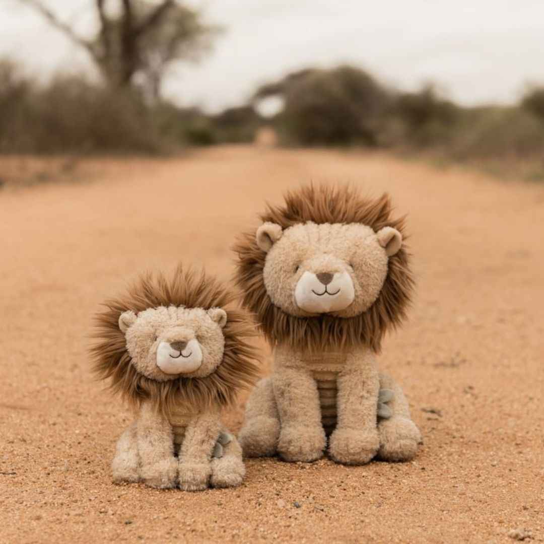 Safari Friends