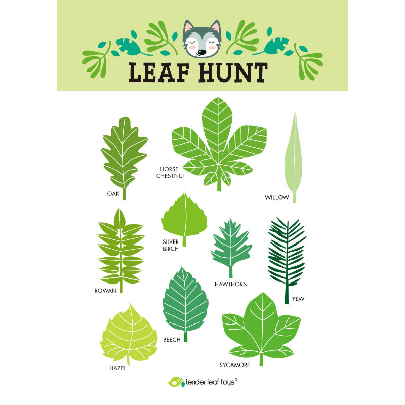 Tender Leaf Toys® Leseni set za izlet v gozd Forest Trail Set Tender Leaf Toys