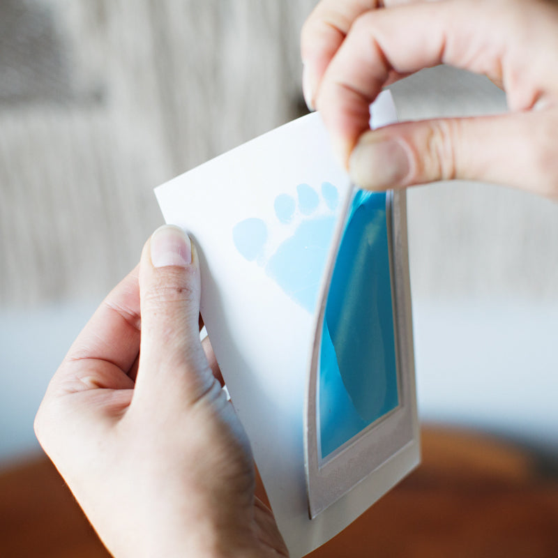 Pearhead® Clean-Touch Odtis s črnilom Blue Pearhead