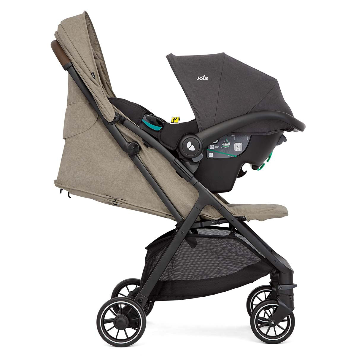 Joie® Otroški voziček Pact™ Pro Oak Joie
