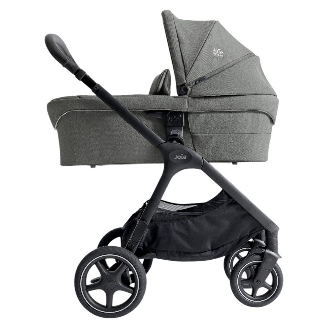 Joie® Košara za novorojenčka Ramble™ XL Signature EverGreen Joie