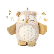 Cloud B® Speča sovica s pomirjujočimi zvoki in senzorjem Nighty Night Owl Cloud B