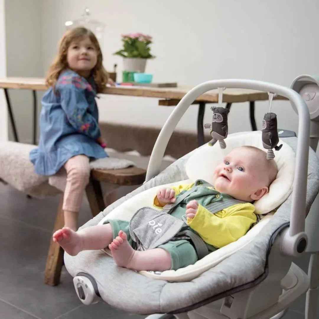 Joie® Gugalnik Serina™ 2v1 Cosmo Grey Joie